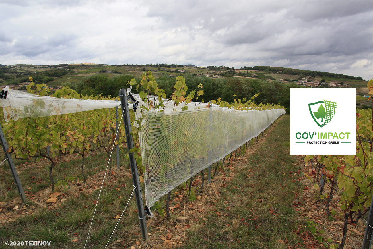 Solution protection contre la grêle pour la vigne Cov'Impact
